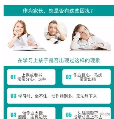 河北区注意力训练试听课